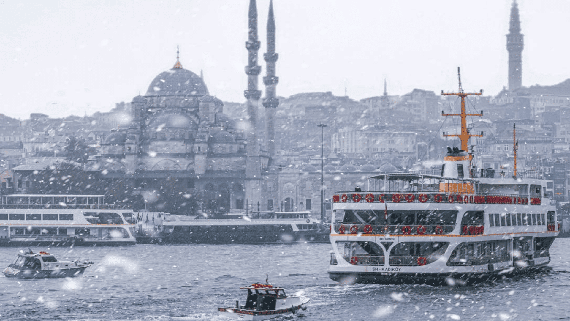 The Timing Window That Actually Matters