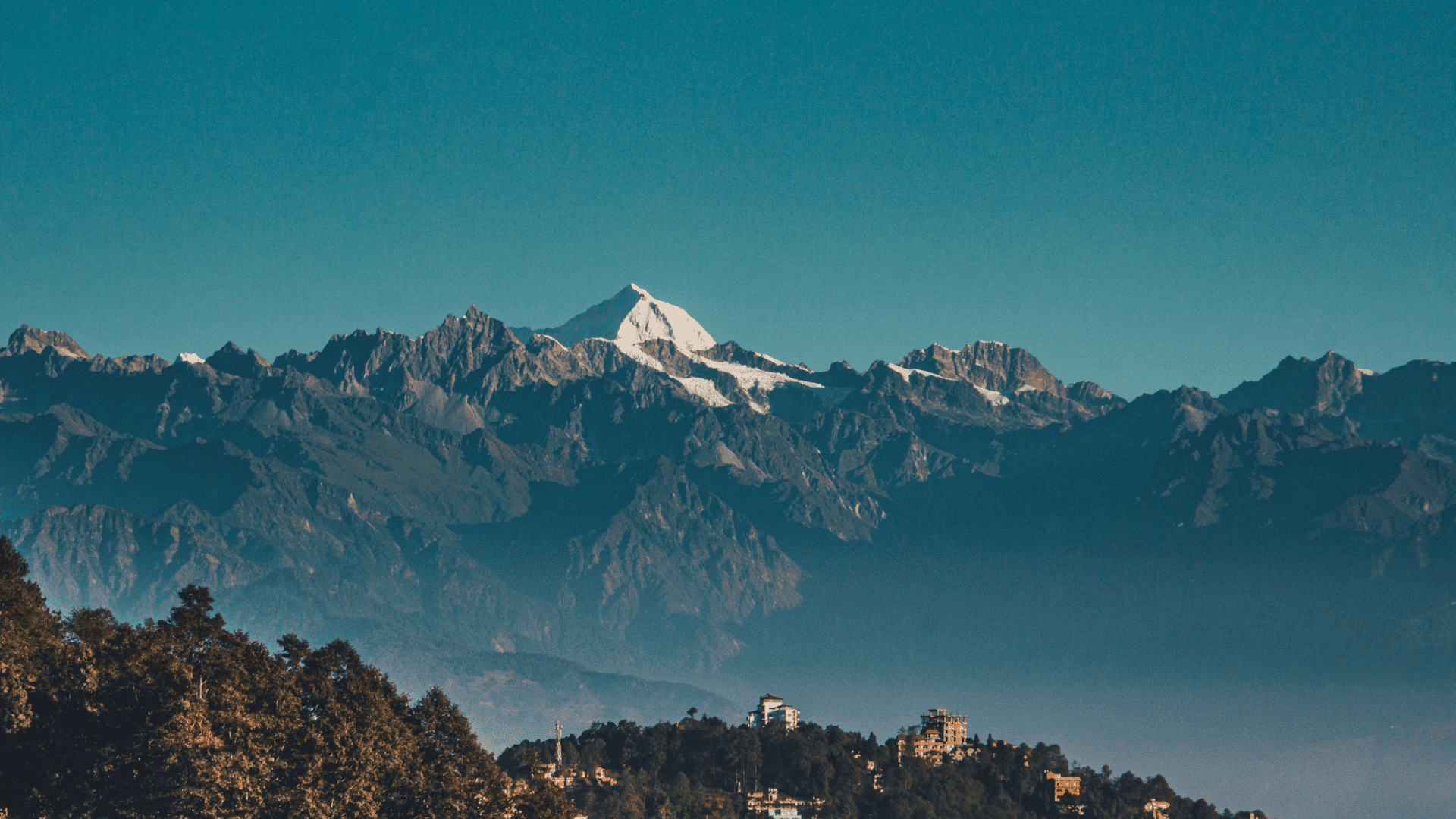 Why Shilajit Nepal Stands Out