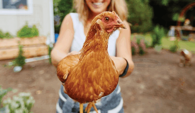 What Makes a Great Poultry Keeper