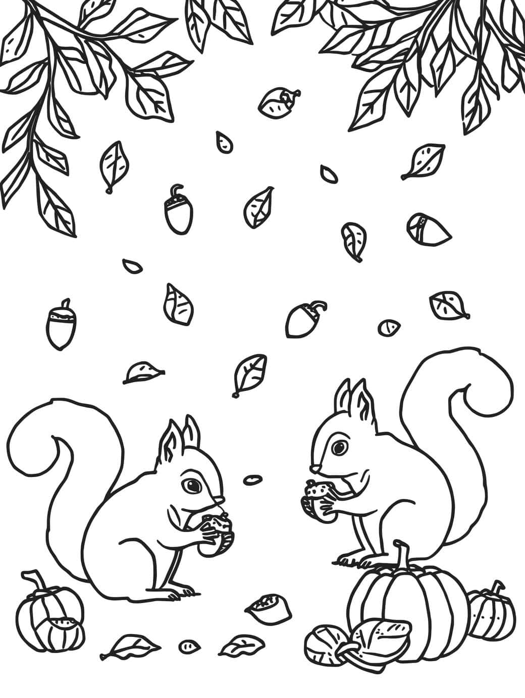 squirrels collecting nuts