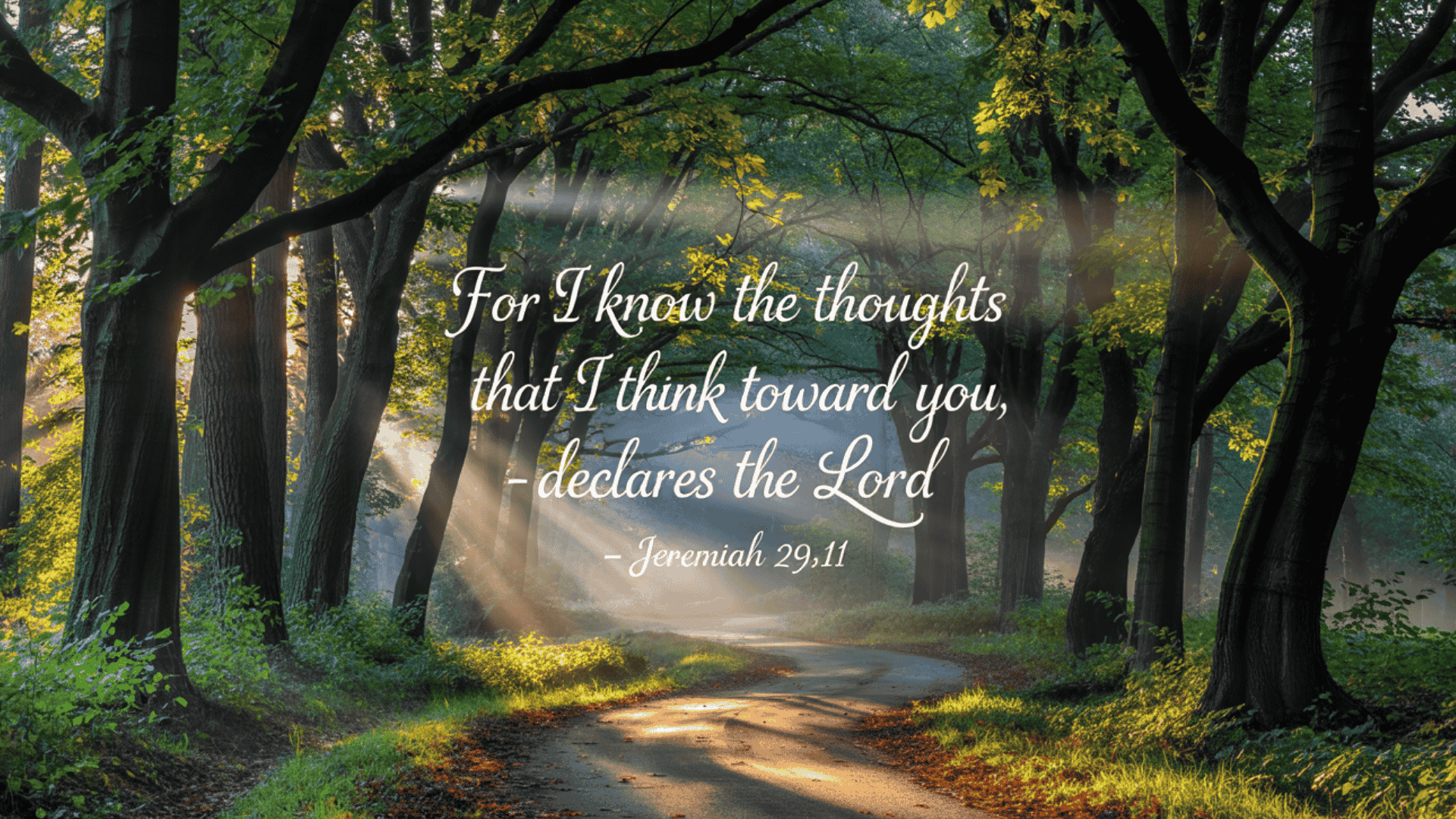 Bible Verses About Hope and Renewal