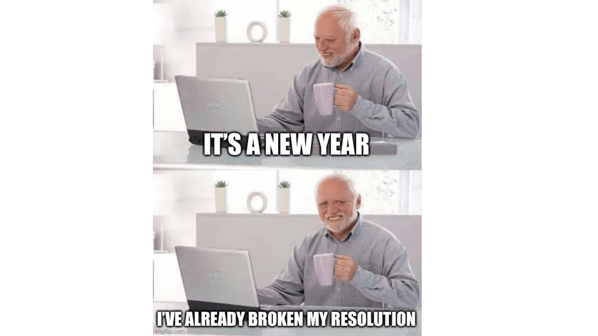 Hide the Pain Harold