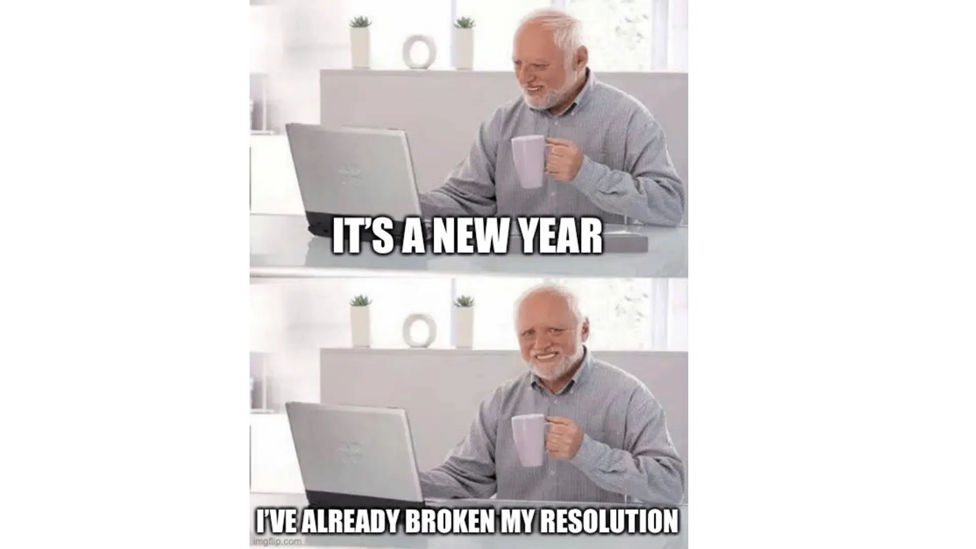 Hide the Pain Harold