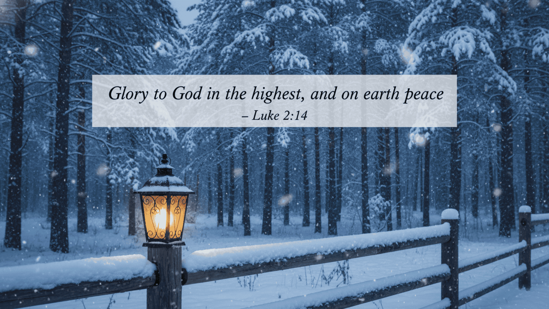 Hope Joy and Peace christmas scriptures