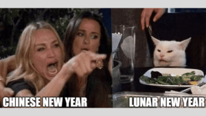 31 Funny Happy New Year Memes You Need to Share - Meredith Plays