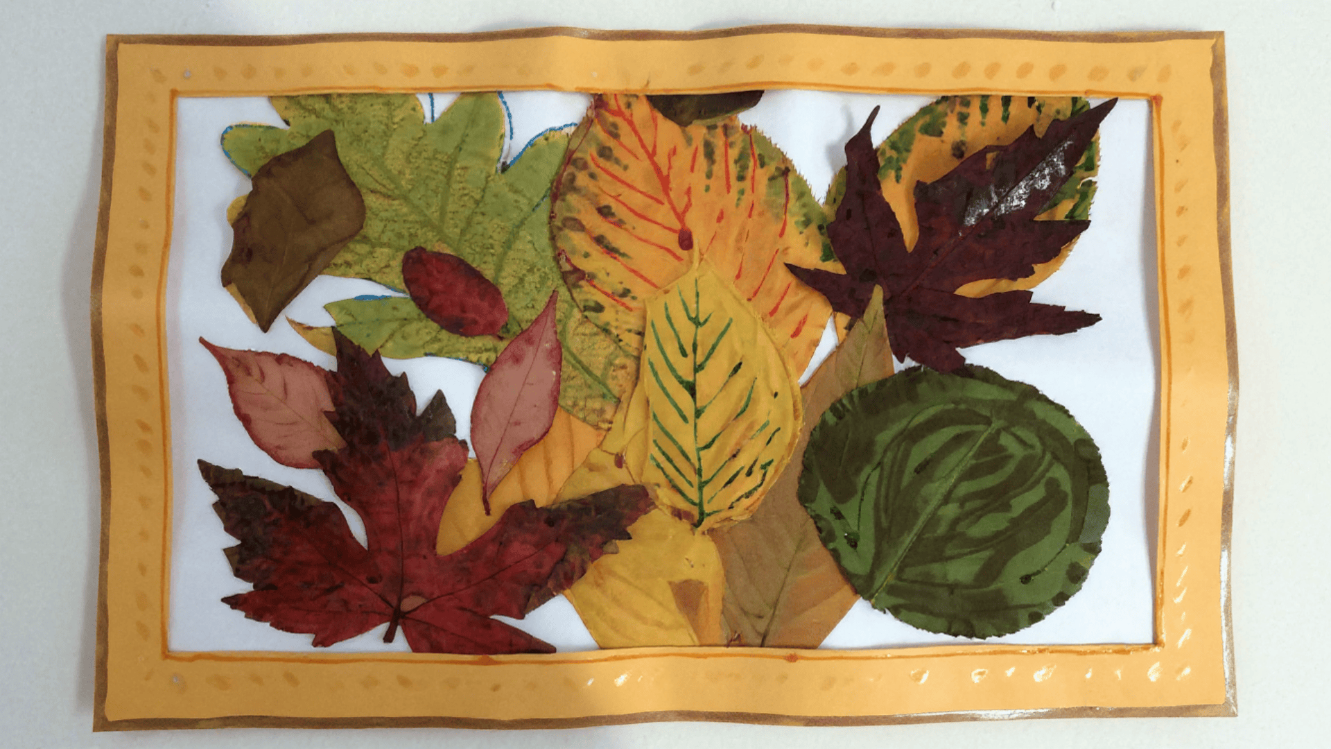 fall collage with real leaves