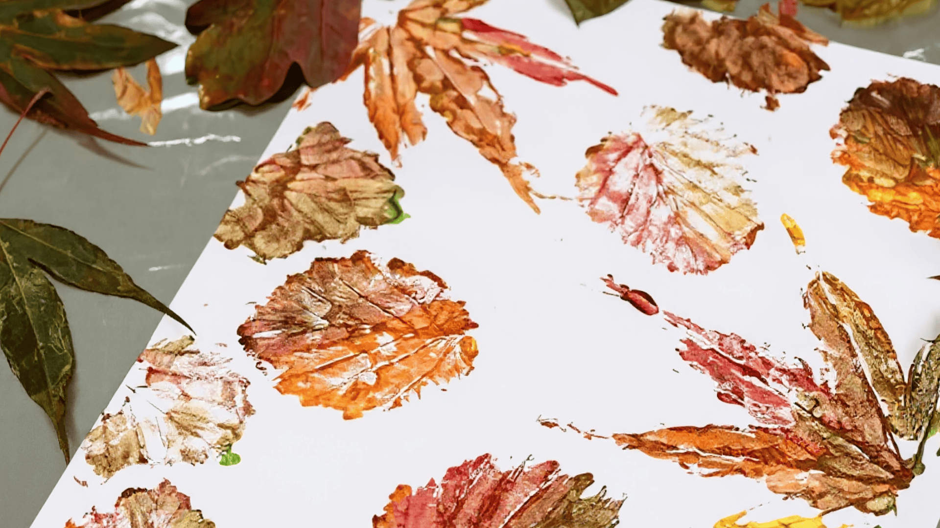 leaf rubbing art