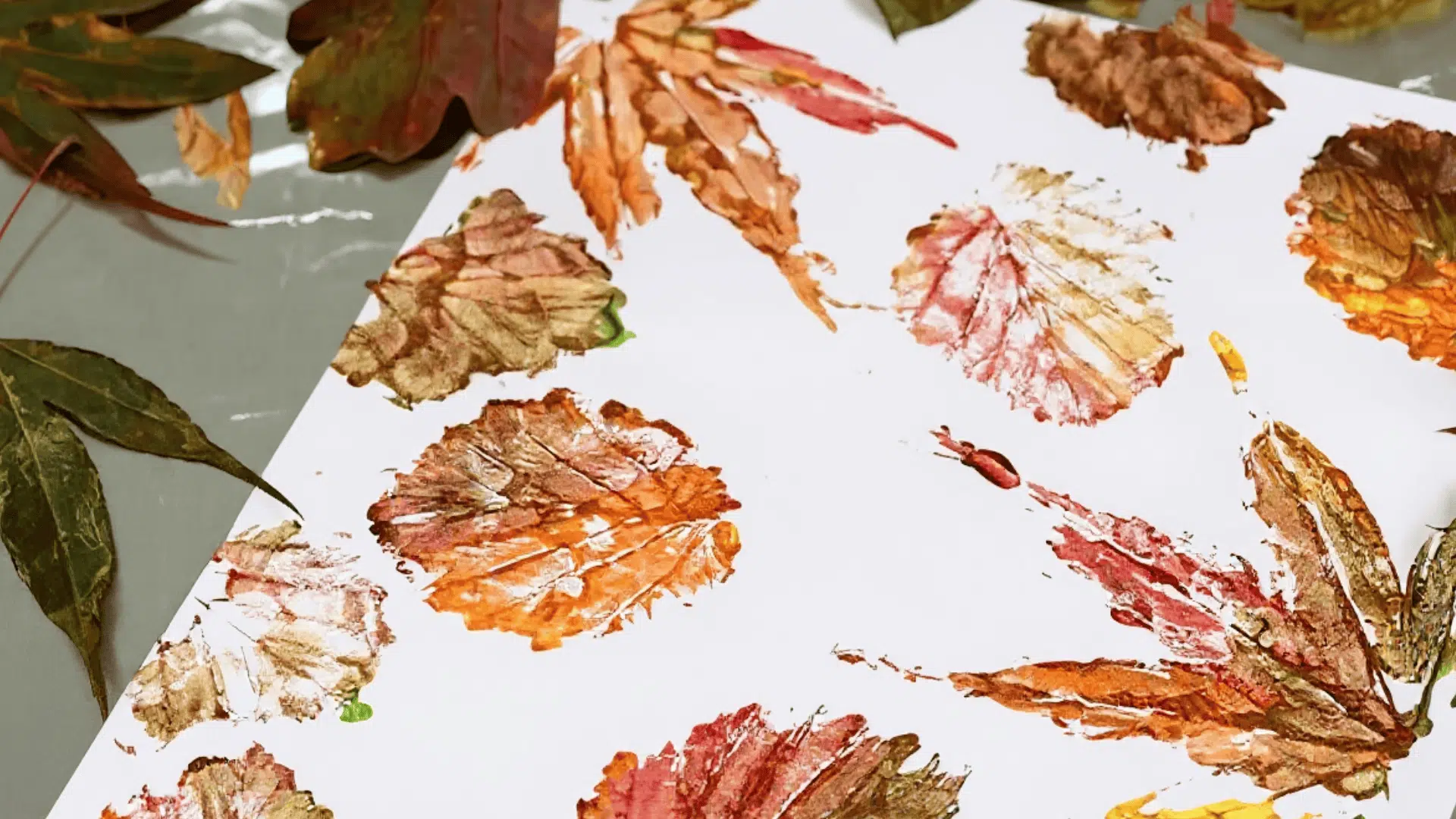 leaf rubbing art