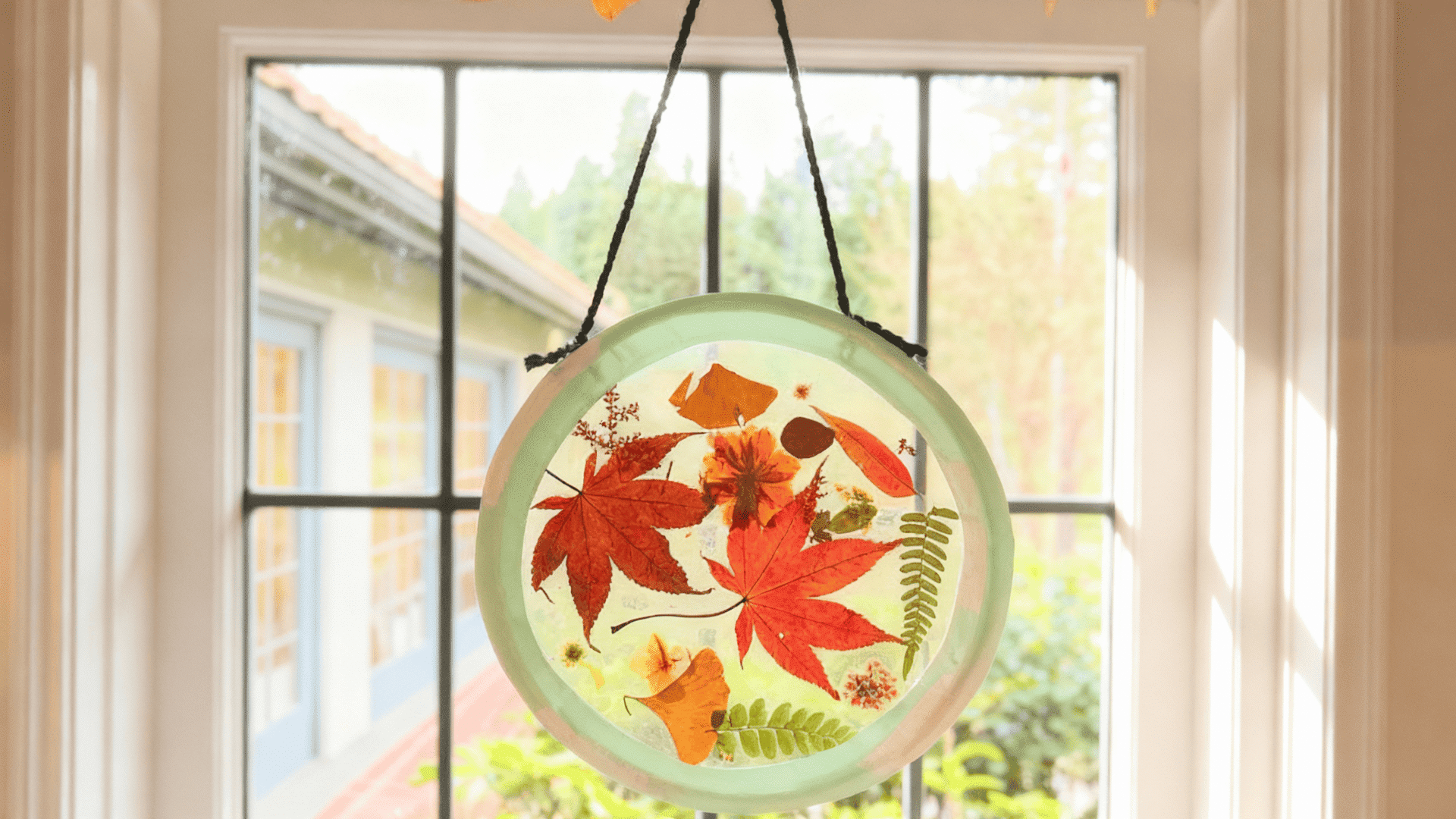 leaf suncatchers with contact paper