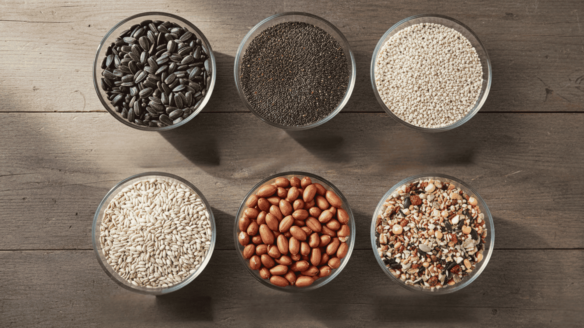 Best Bird Seed Types for Your DIY Feeder