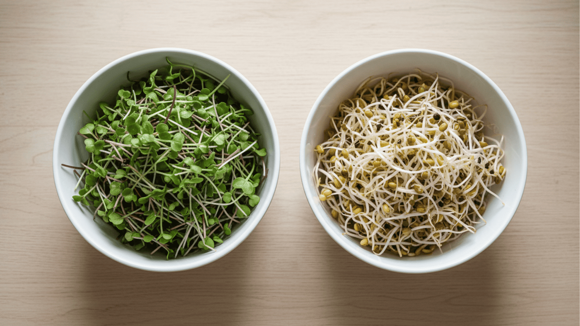 Microgreens vs Sprouts Key Differences