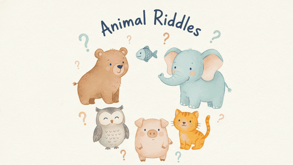 Animal Riddles