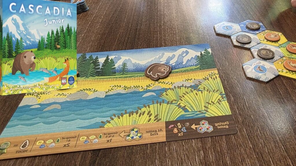 Cascadia Junior board game setup on a wooden table, featuring a scenic player board with a bear token, hexagonal habitat tiles, and the illustrated game box displayed to the side