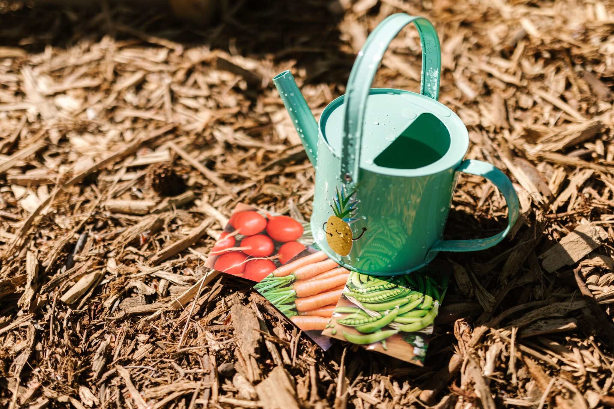 How Soil Health Influences the Look and Performance of Your Lawn