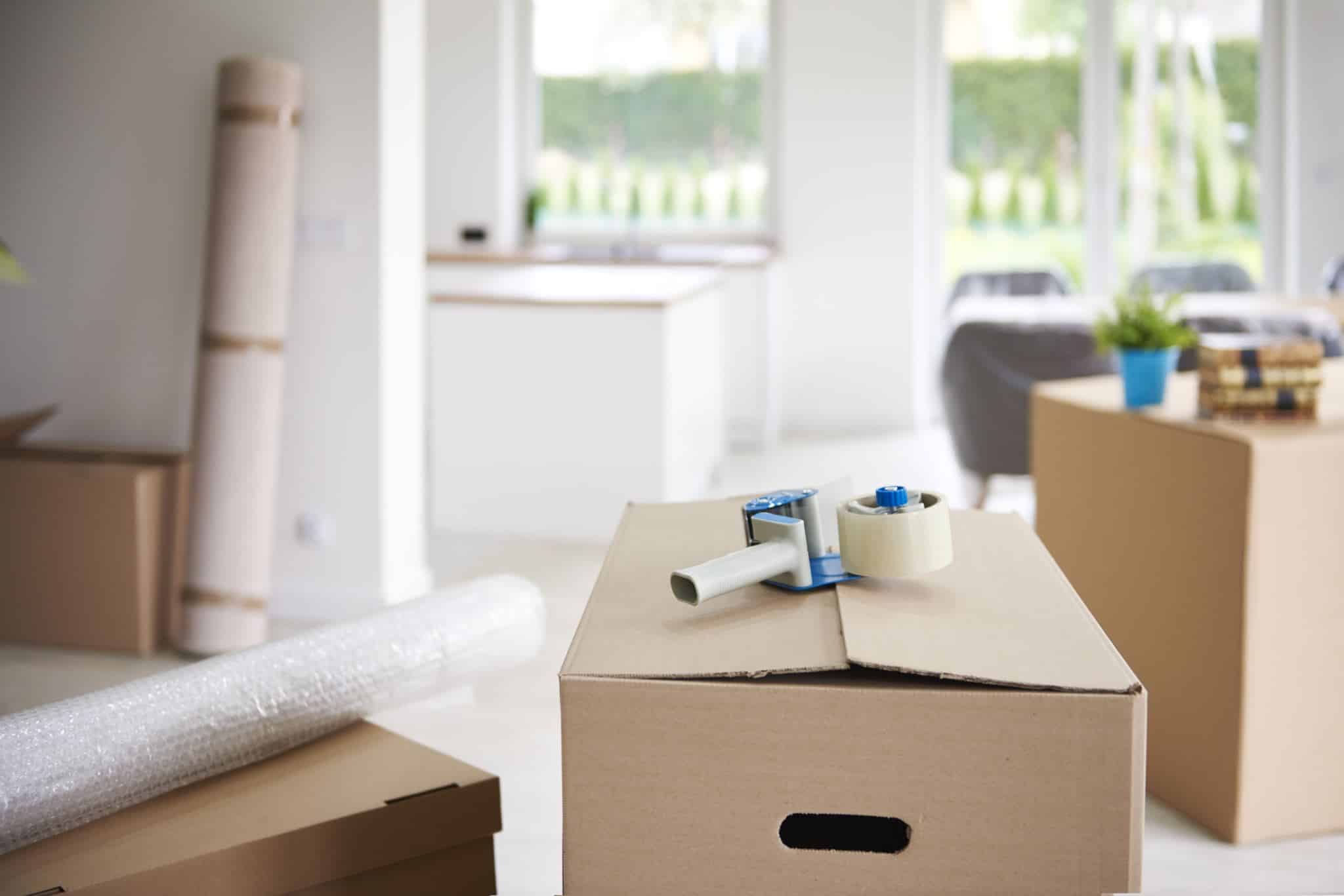 Staying Boxed In Moving Week Made Easier: Daily Strategies For Staying Organized ...