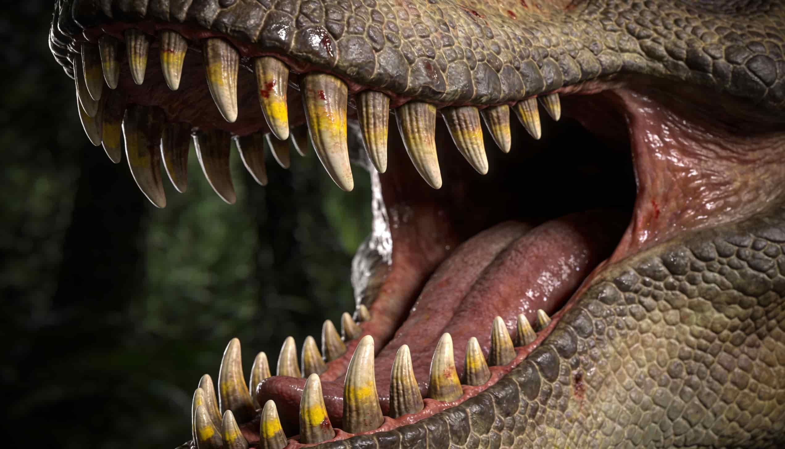 diet-teeth-and-eating-habits-of-dinosaurs