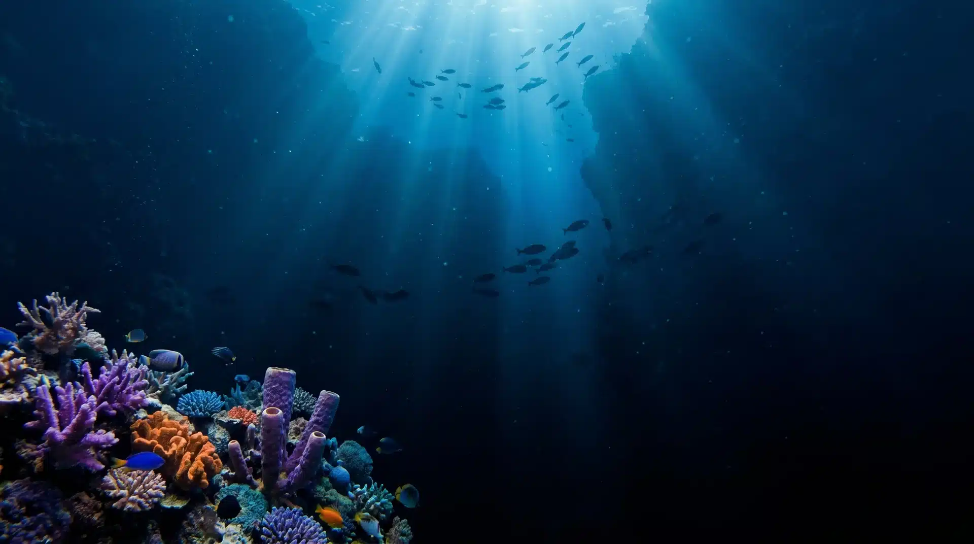 oceans-rivers-and-water-on-earth