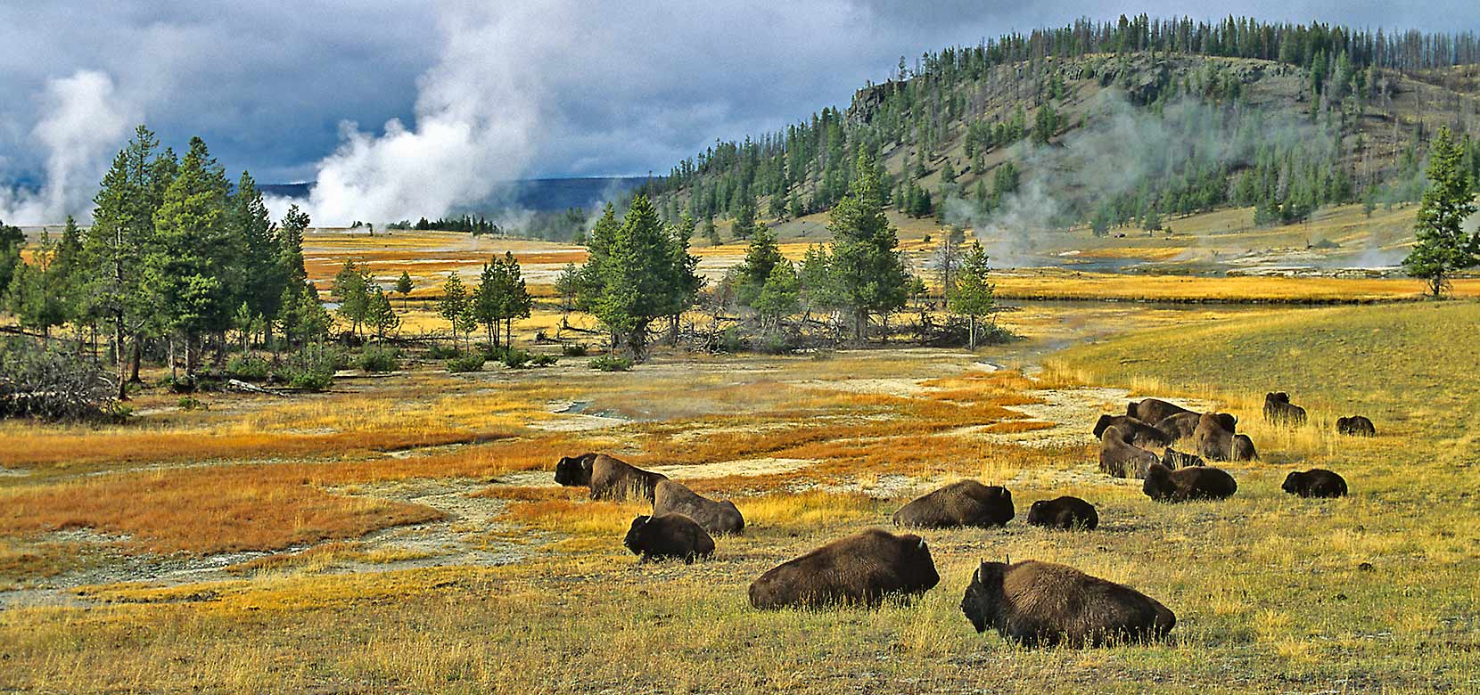 Yellowstone-National-Park-Wyoming